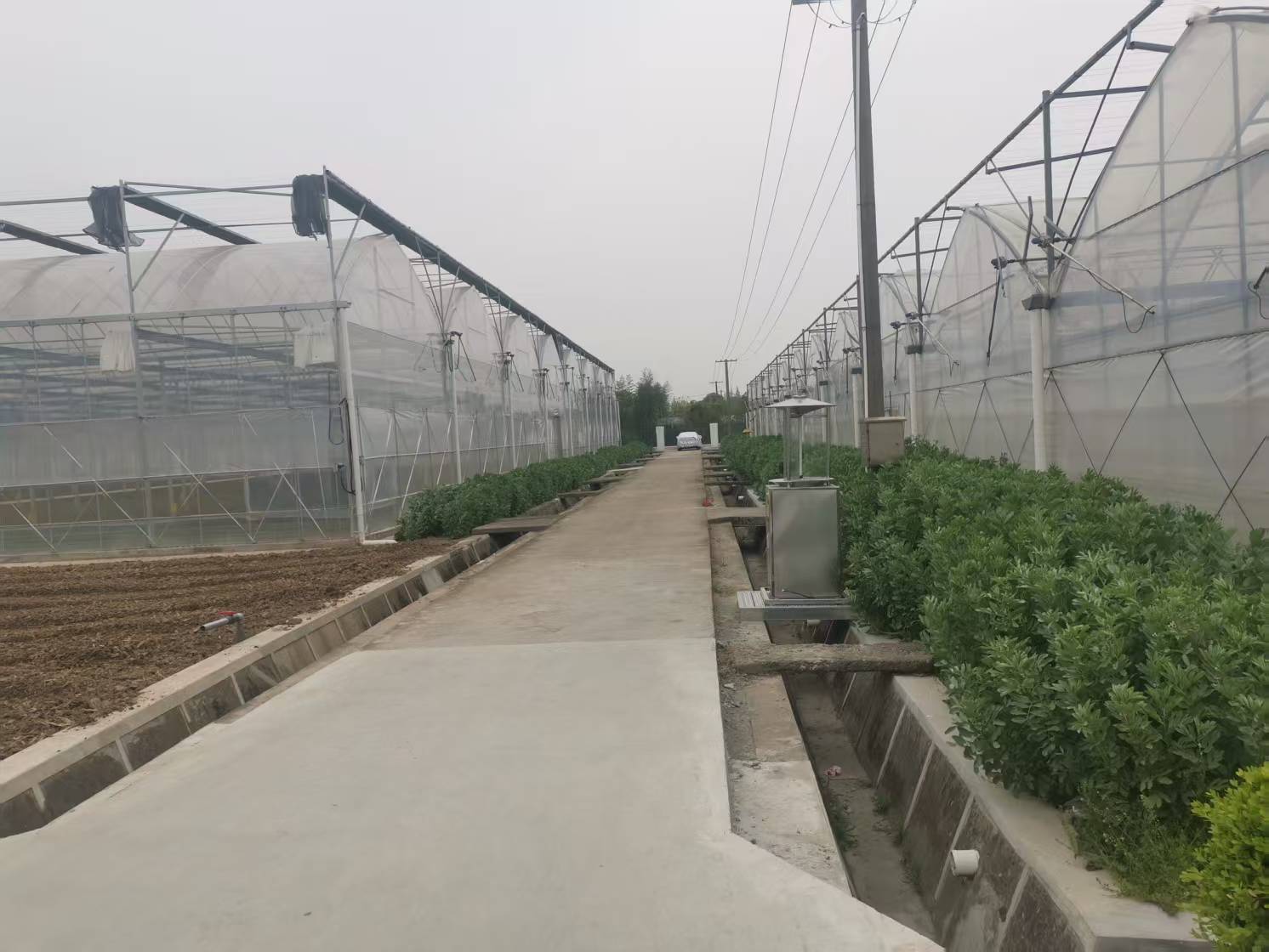 上海配送
